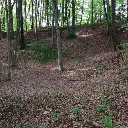 Almrefugio Neumarkt in der Oberpfalz