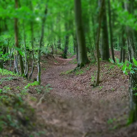 여관 Almrefugio 노이막트인더오버팔츠