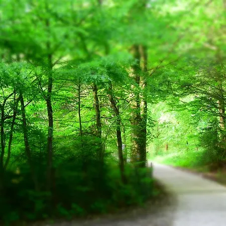 بيت ريفي Almrefugio نيوماركت إن دير أوبيرفالز