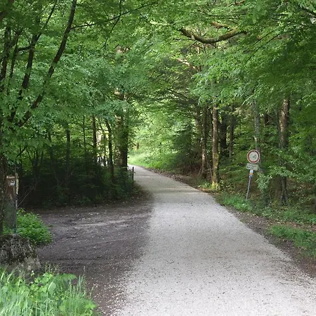 여관 Almrefugio 노이막트인더오버팔츠